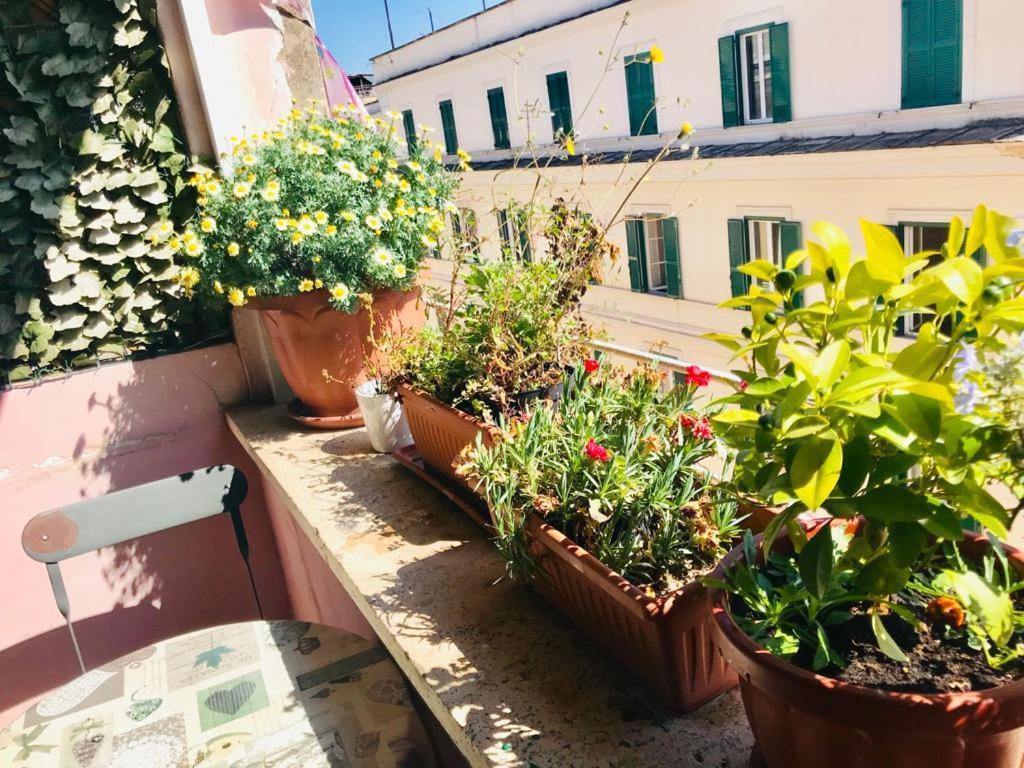 Green Guesthouse Roma Eksteriør bilde